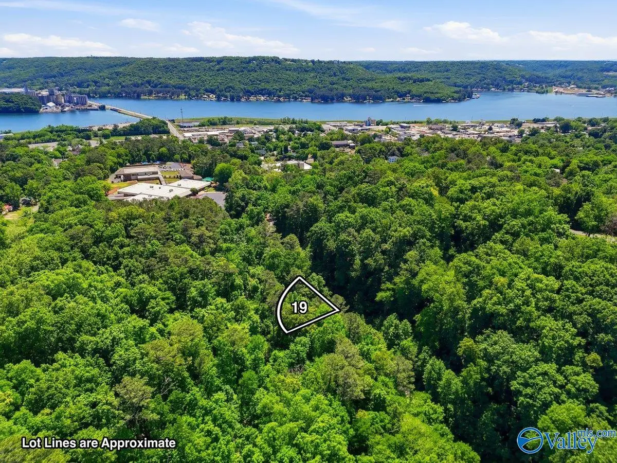 Lot 19 Lusk Street, Guntersville, AL 35976 - #1