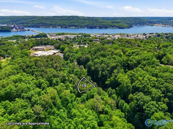 Lot 19 Lusk Street, Guntersville, AL 35976