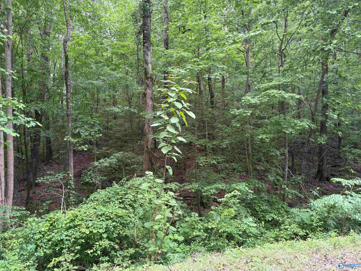 2756 Wilhite Road, Falkville, AL 35622 - #1