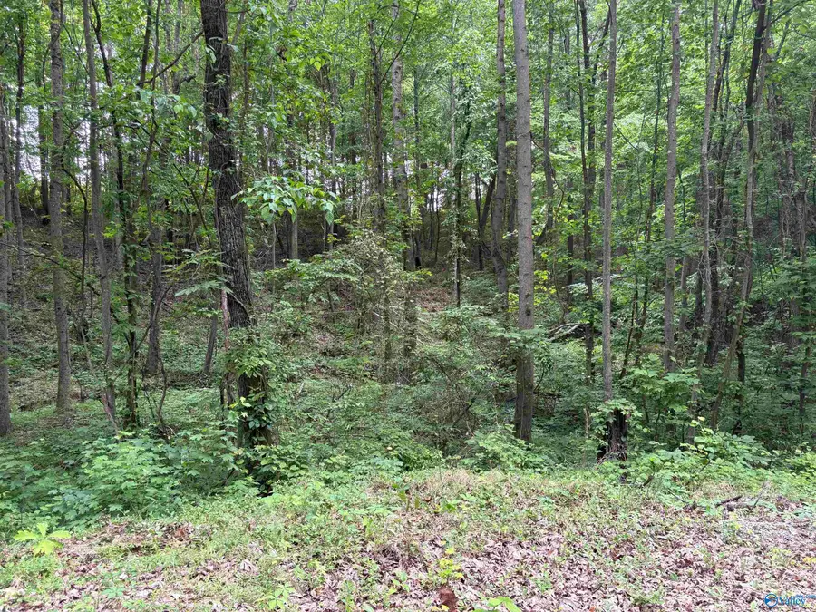 2756 Wilhite Road, Falkville, AL 35622 - #3