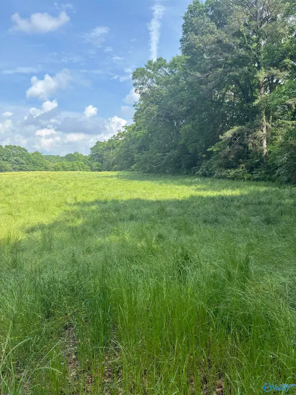 8.06 acres Alabama Highway 79, Blountsville, AL 35031