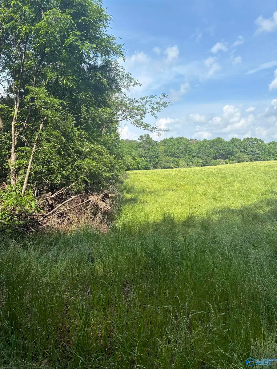 8.06 acres Alabama Highway 79, Blountsville, AL 35031 - #2