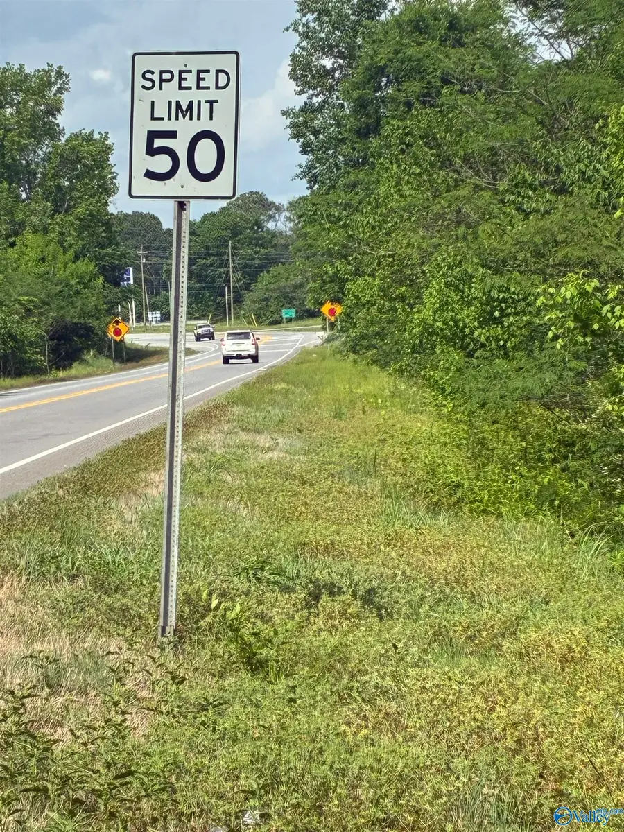 8.06 acres Alabama Highway 79, Blountsville, AL 35031 - #3