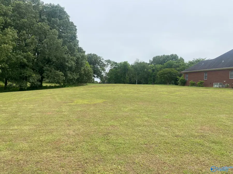 13206 Saint Andrew Drive, Athens, AL 35611 - #3