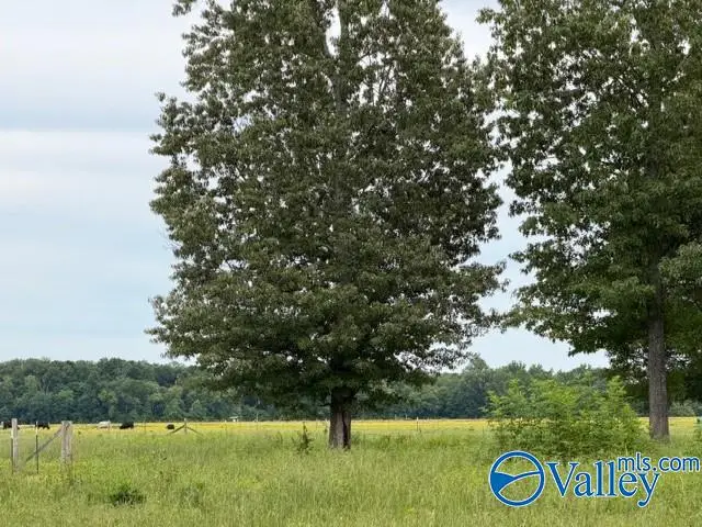 Lot 1 Neely Road, Athens, AL 35611 - #1