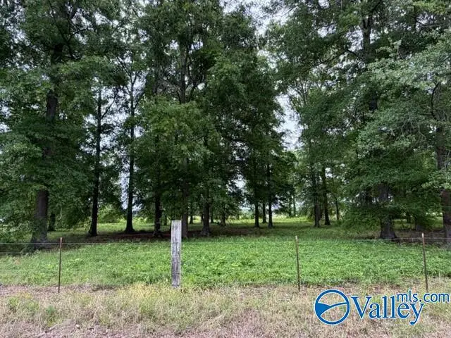 Lot 1 Neely Road, Athens, AL 35611 - #3