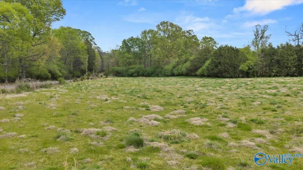 Lot A River Road, Hollywood, AL 35752 - #1