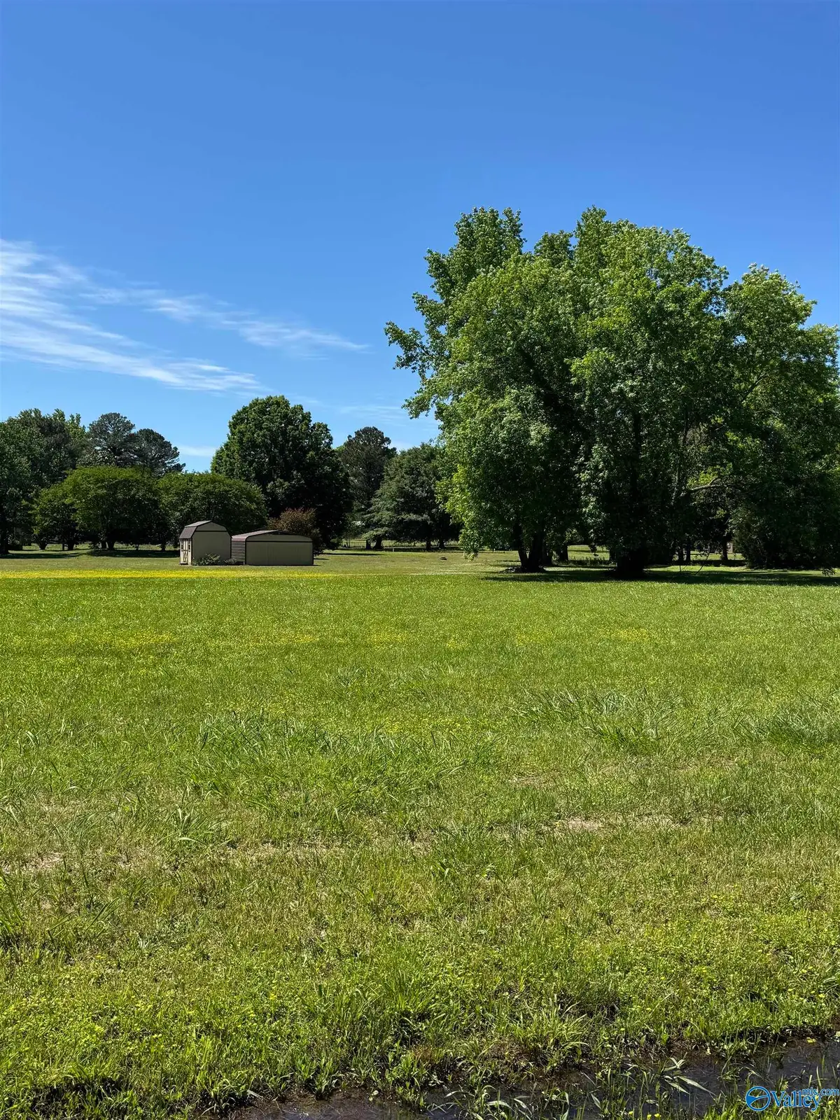 S&W S Pine Street, Priceville, AL 35603 - #1
