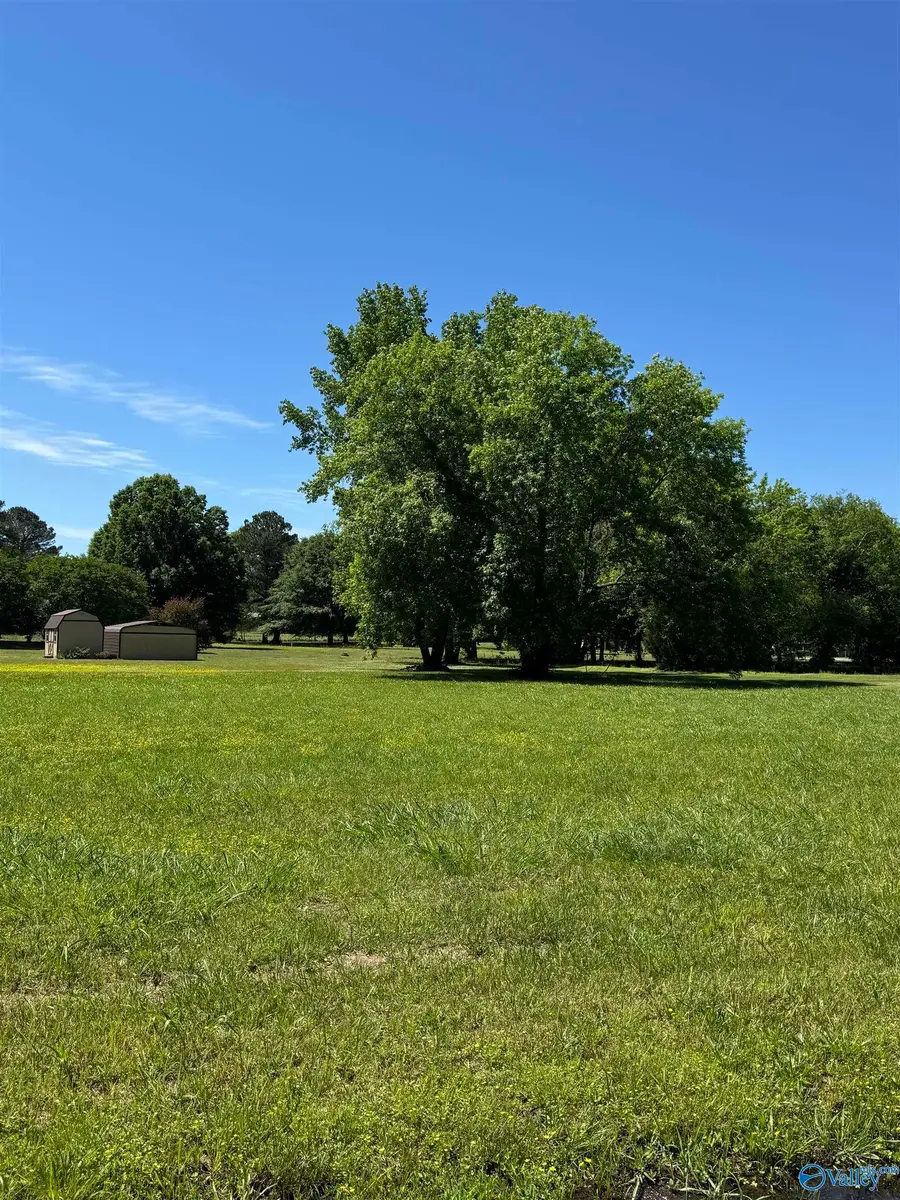 S&W S Pine Street, Priceville, AL 35603 - #2