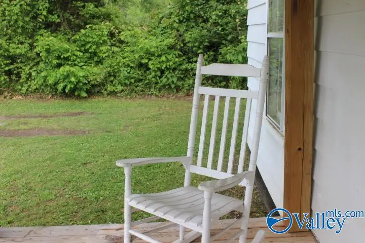 183 Lowery Road, Valley Head, AL 35989 - #2