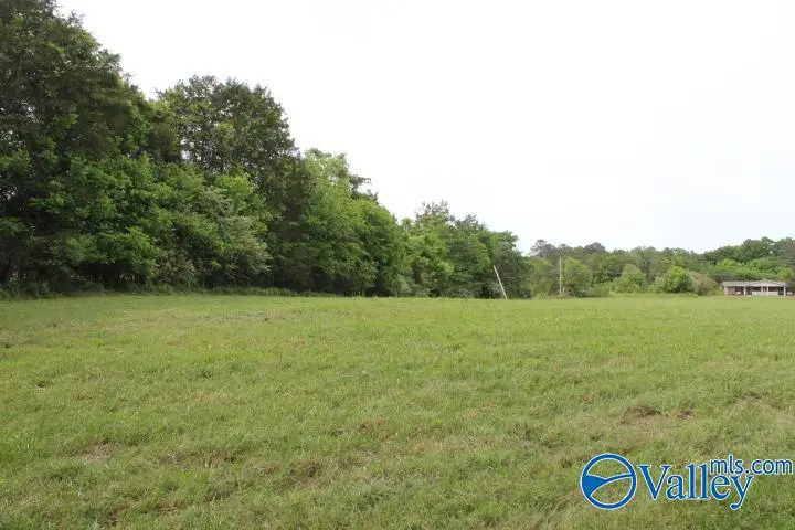183 Lowery Road, Valley Head, AL 35989 - #3