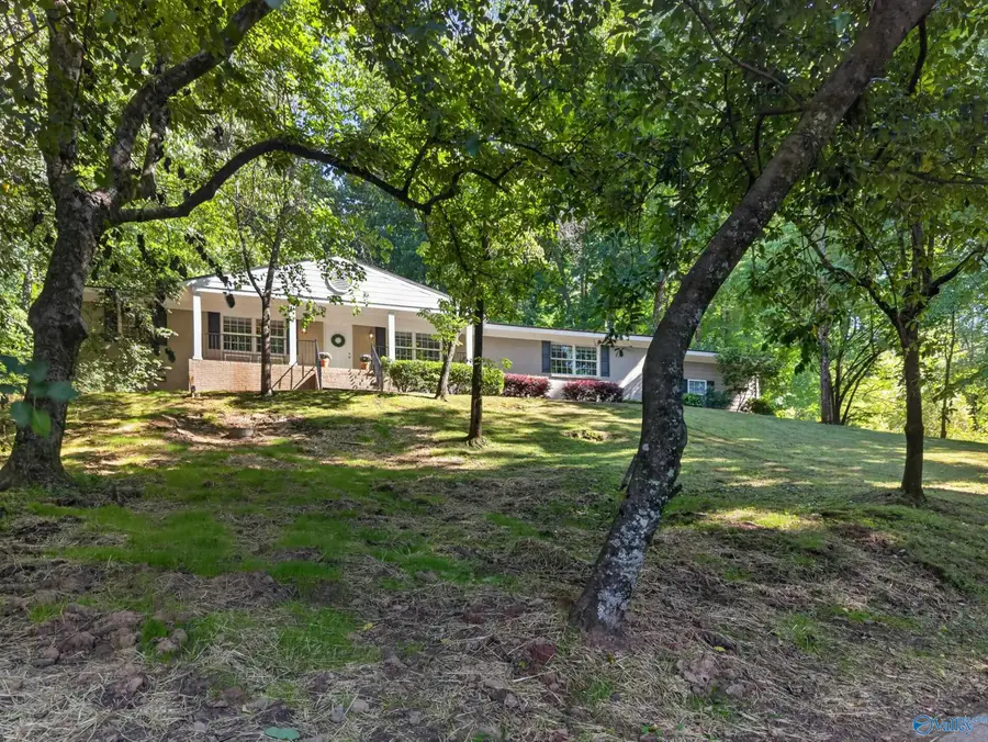 716 Merit Springs Road, Gadsden, AL 35901 - #3
