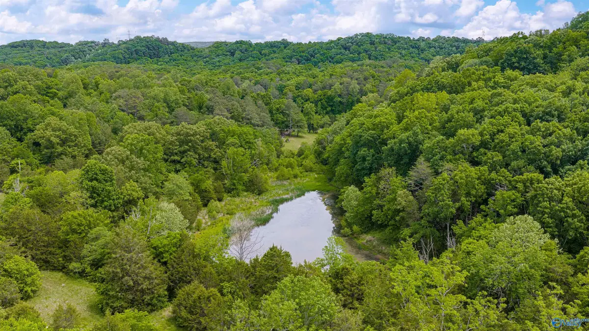 77 Acres Hixon Road, Fort Payne, AL 35967 - #1