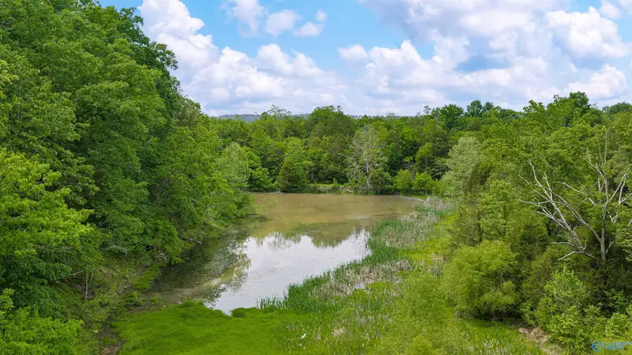 77 Acres Hixon Road, Fort Payne, AL 35967 - #2