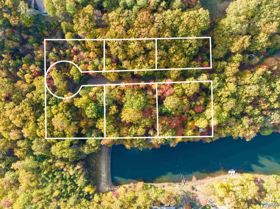 900 County Road 839, Mentone, AL 35984 - #2