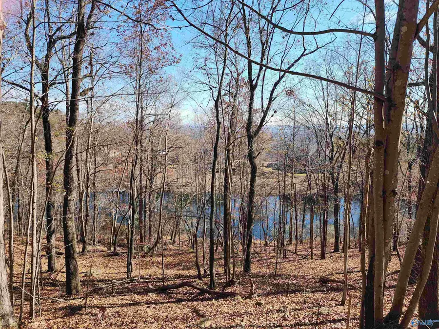 900 County Road 839, Mentone, AL 35984 - #3