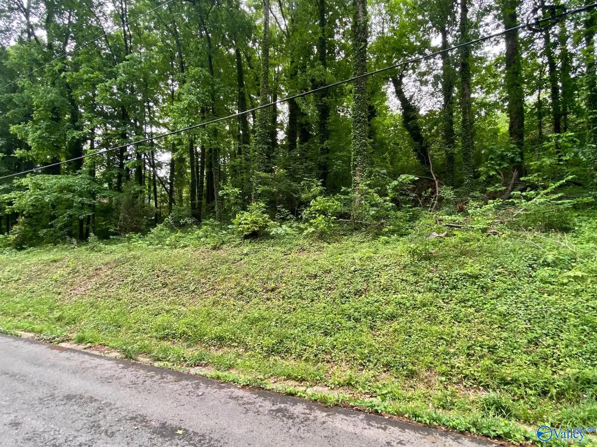 Lot 6 Cherokee Road, Guntersville, AL 35976 - #1