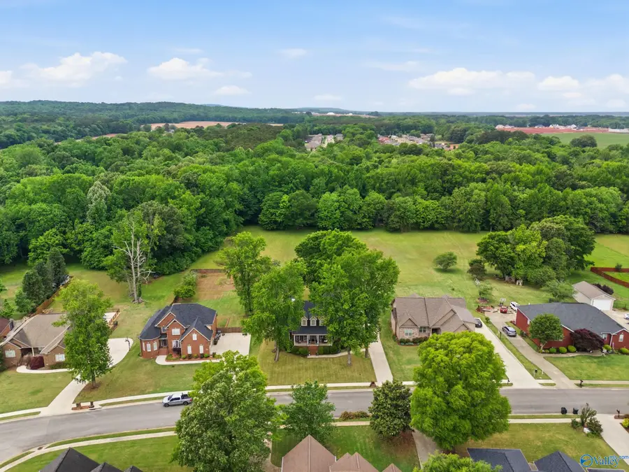 237 Dove Hollow Drive, Meridianville, AL 35759 - #2