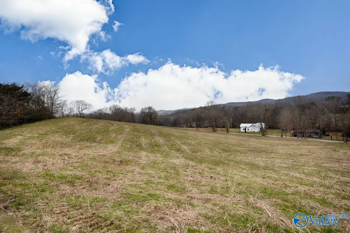 10.8 A Briar Patch Road, Prospect, TN 38477 - #1