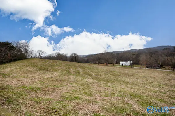 10.8 A Briar Patch Road, Prospect, TN 38477