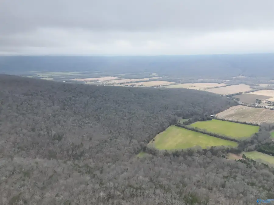 245 AC County Road 106, Trenton, AL 35774 - #3