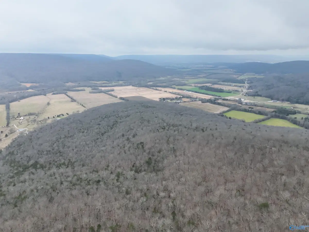 264 AC County Road 65, Paint Rock, AL 35764 - #1