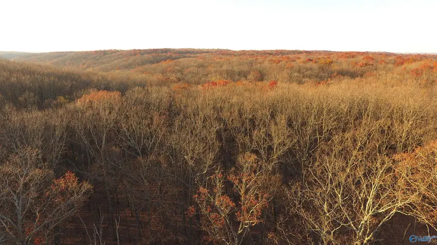 264 AC County Road 65, Paint Rock, AL 35764 - #3