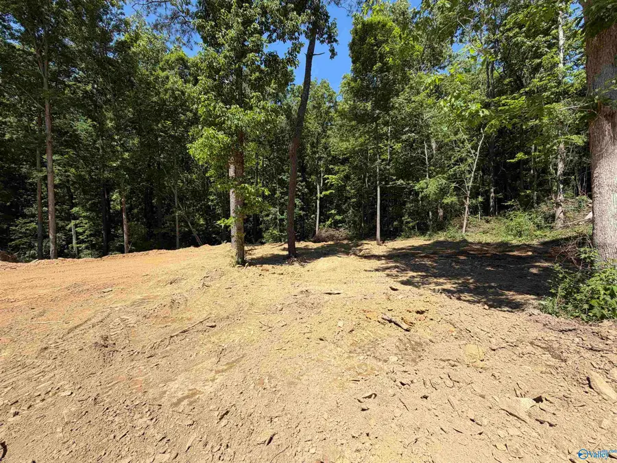 lot 18 Meadowwood Circle, Arab, AL 35016 - #2