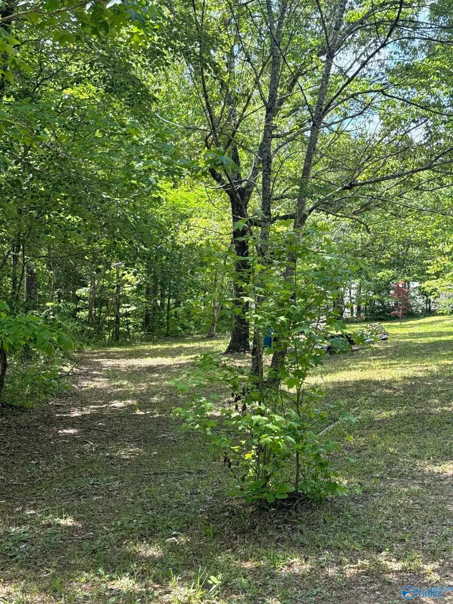 750 Hart Court, Warrior, AL 35180 - #3