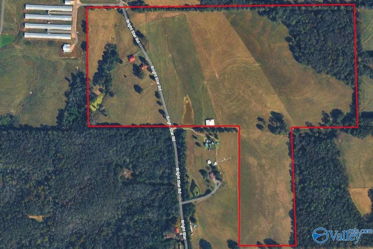 695 Bright Star Road, Horton, AL 35980 - #1