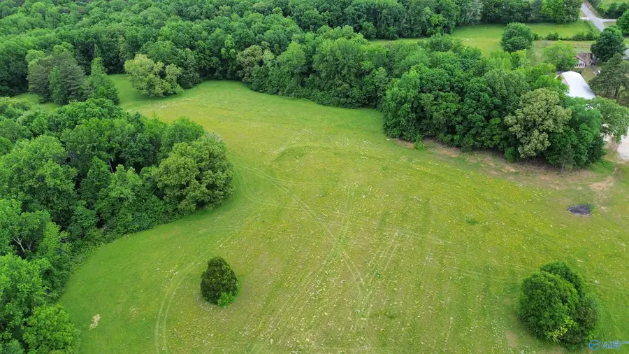 Tract 3 County Road 125, Rogersville, AL 35652 - #3