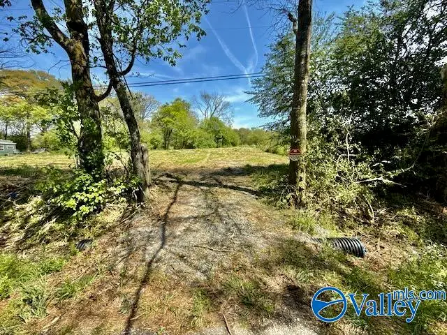 4117 Mat Morrow Road, Arab, AL 35016 - #1