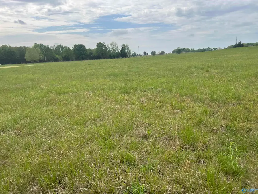 Tract 4 County Road 155, Anderson, AL 35610 - #3
