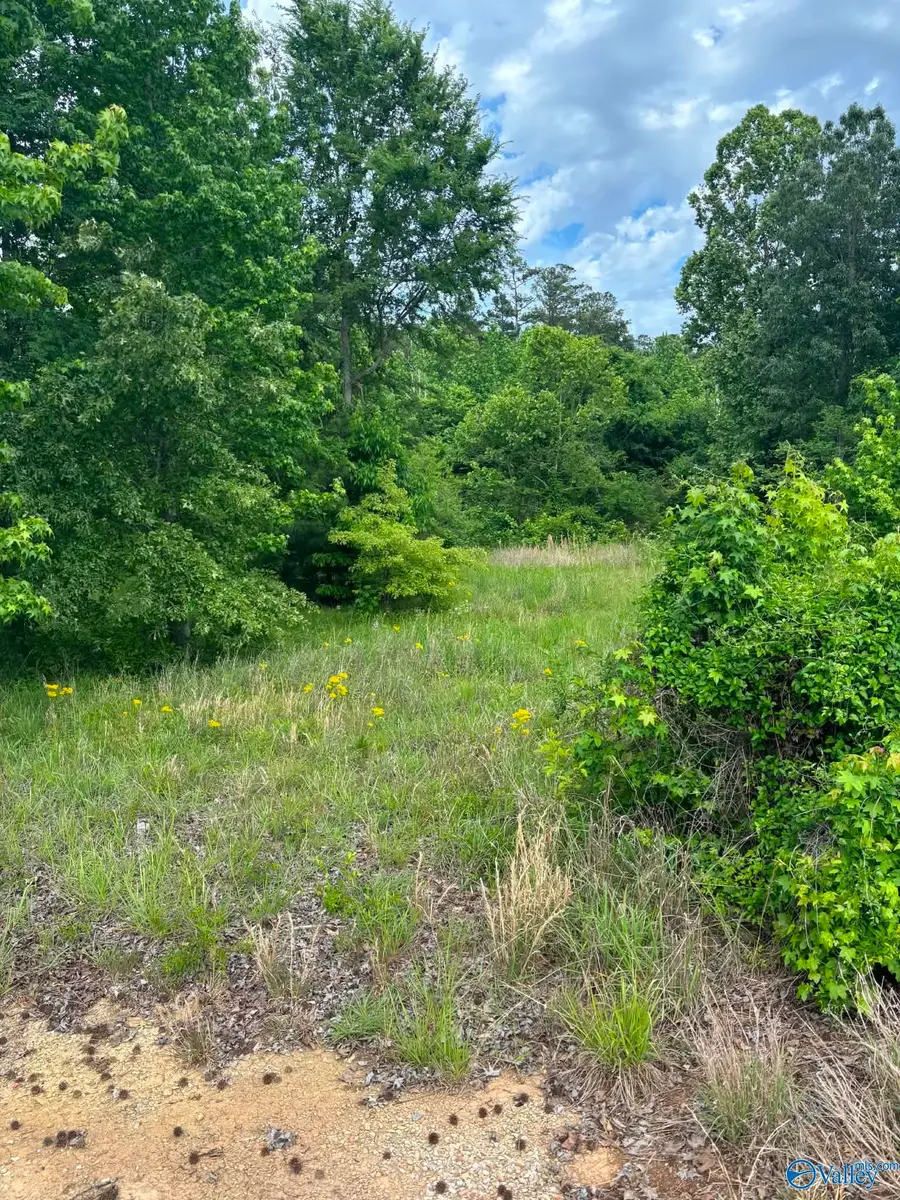6447 Alabama Highway 227, Guntersville, AL 35976 - #3