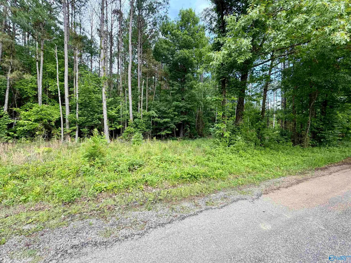 3.90 County Road 235, Leesburg, AL 35983 - #1