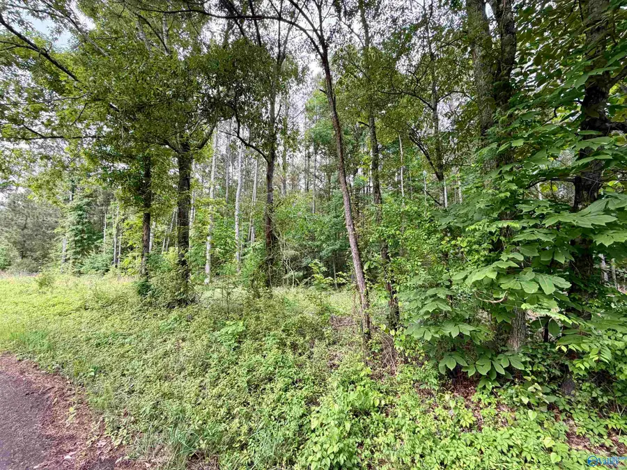 3.90 County Road 235, Leesburg, AL 35983 - #3