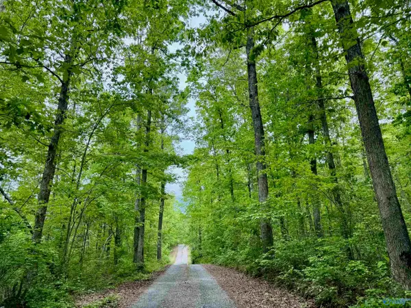 Lot 40 Road 9050, Mentone, AL 35984