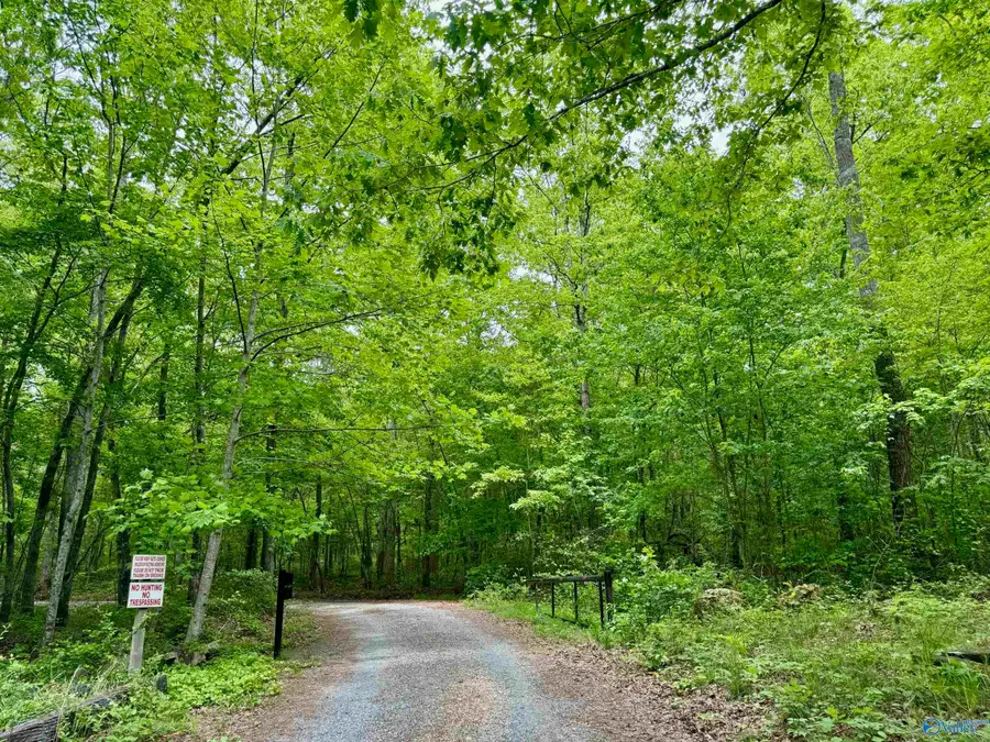 Lot 40 Road 9050, Mentone, AL 35984 - #2