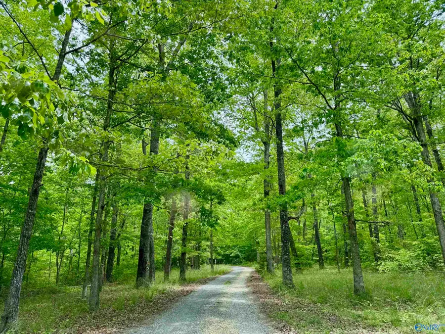 Lot 40 Road 9050, Mentone, AL 35984 - #3