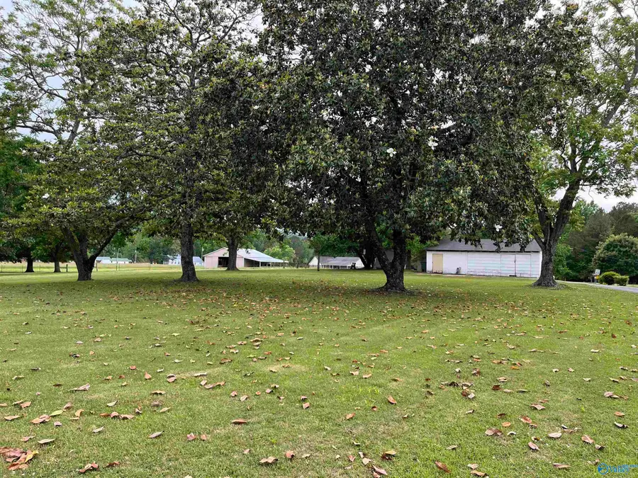 104 Self Road, New Hope, AL 35760 - #3