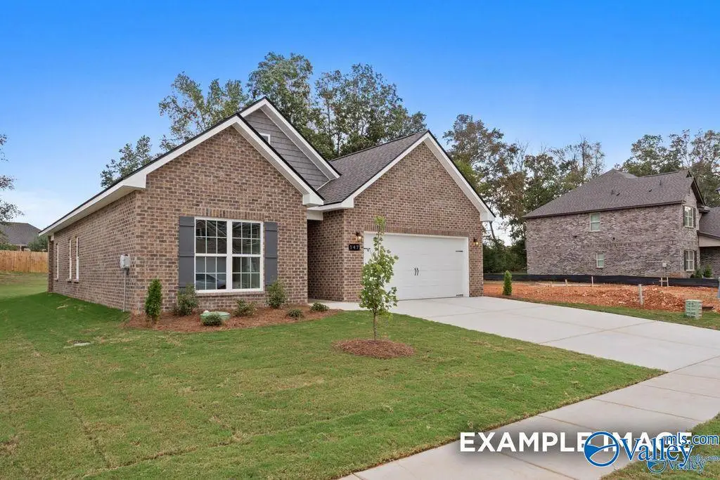 233 Pine Island Avenue, Toney, TN 37773 - #1