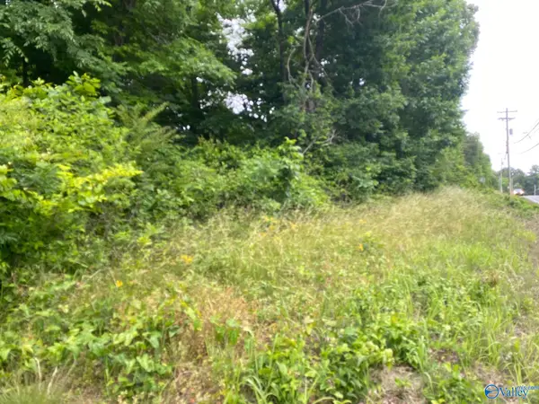 Lot 16 Highway 227, Guntersville, AL 35976