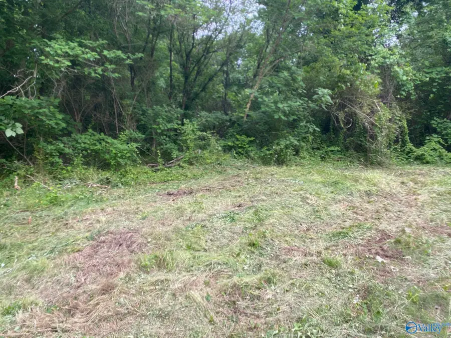 Lot 16 Highway 227, Guntersville, AL 35976 - #3