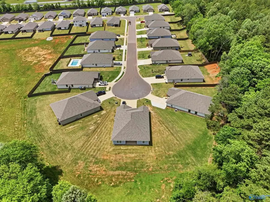 21651 Ginn Point Road, Athens, AL 35613 - #3