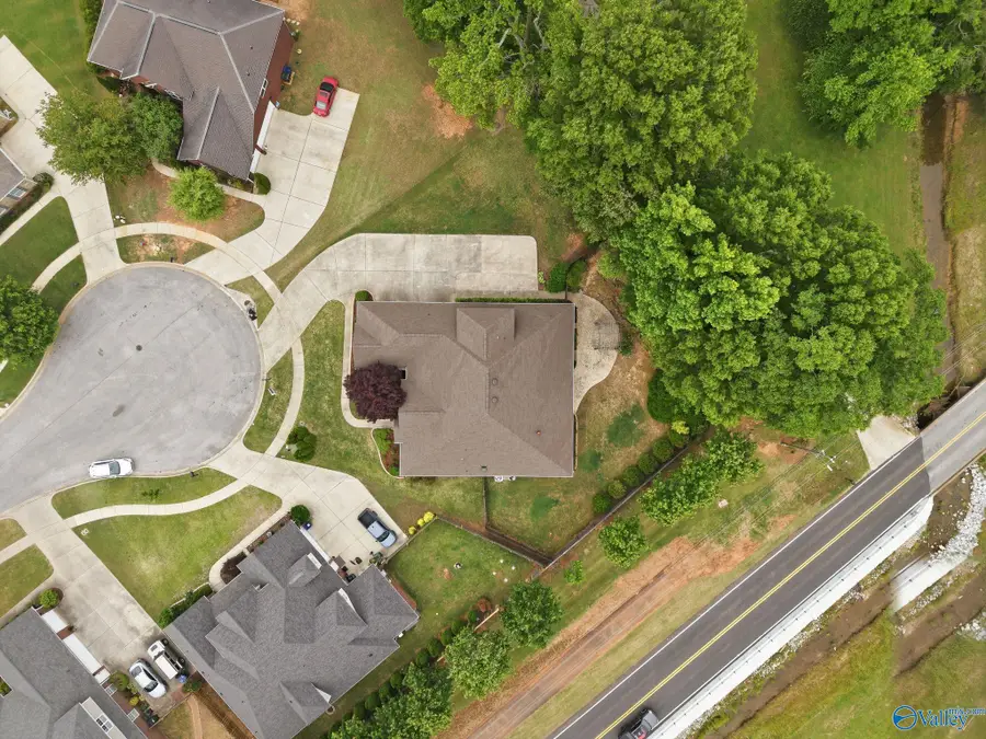 112 Mill Walk Court, Madison, AL 35758 - #3