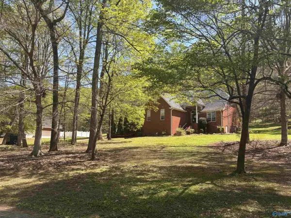 242 County Road 555, Valley Head, AL 35989