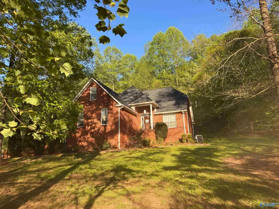 242 County Road 555, Valley Head, AL 35989 - #2