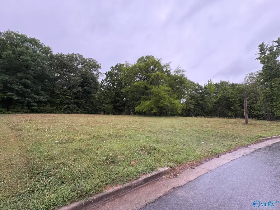 Lot 4 Wimberly Drive, Decatur, AL 35603 - #3