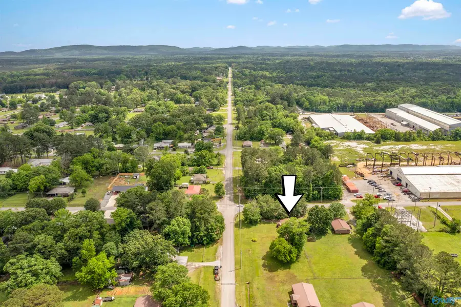 317 Wood Avenue Se, Attalla, AL 35954 - #3