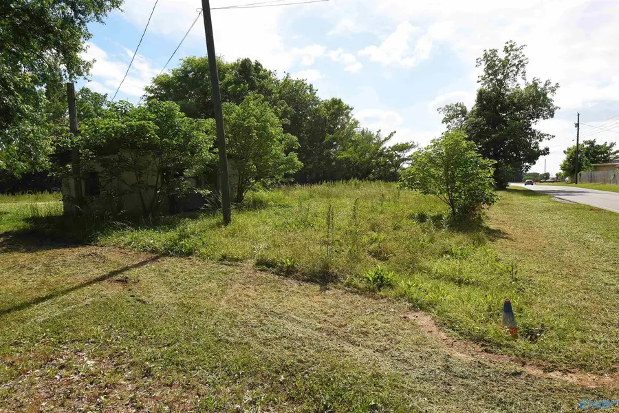 Lot 3 23rd Avenue, Decatur, AL 35601 - #2